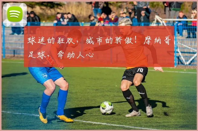 球迷的狂欢，城市的骄傲！摩纳哥足球，牵动人心