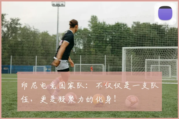 印尼电竞国家队:不仅仅是一支队伍,更是凝聚力的化身!