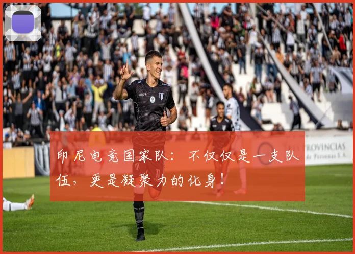 印尼电竞国家队：不仅仅是一支队伍，更是凝聚力的化身！