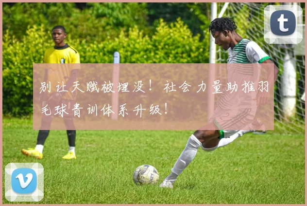 别让天赋被埋没！社会力量助推羽毛球青训体系升级！